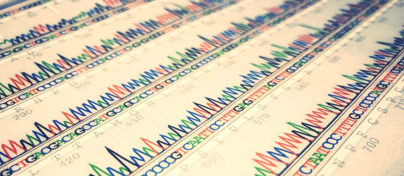 Data sheet of DNA sequences